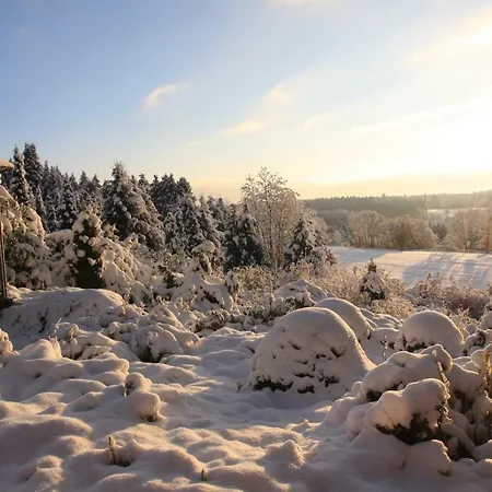 Ferienhaus Sonne, Harz und Sterne Hohegeiß Exterior foto