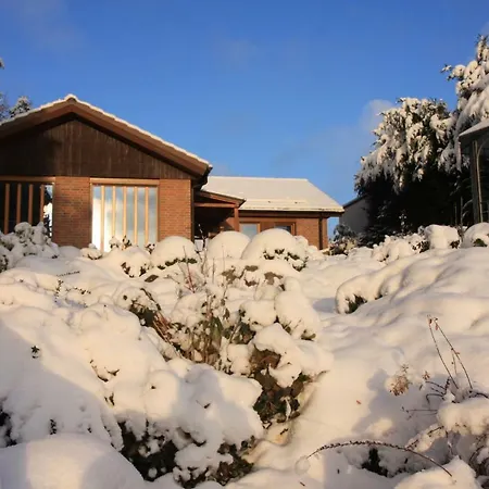 Ferienhaus Sonne, Harz und Sterne Hohegeiß Exterior foto