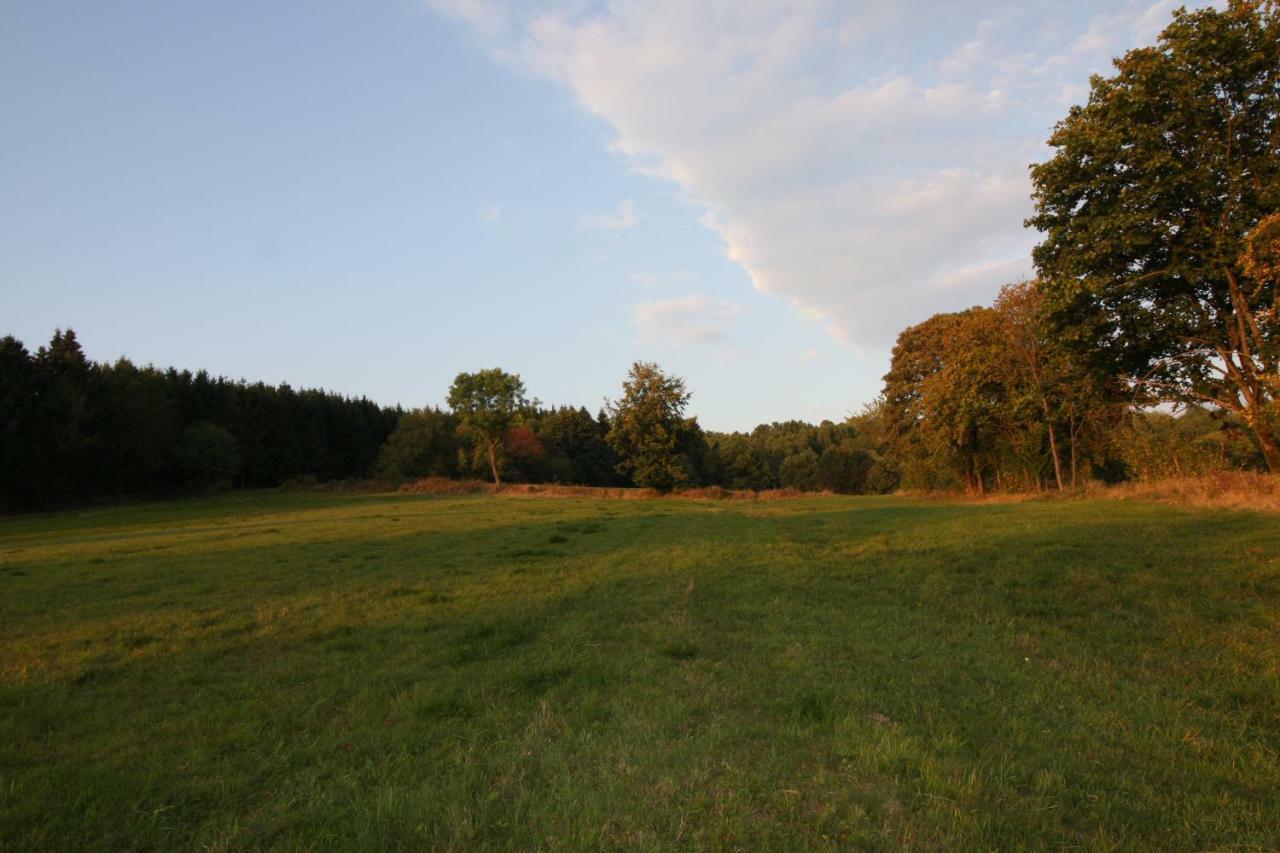 Sonne, Harz Und Sterne Hébergement de vacances