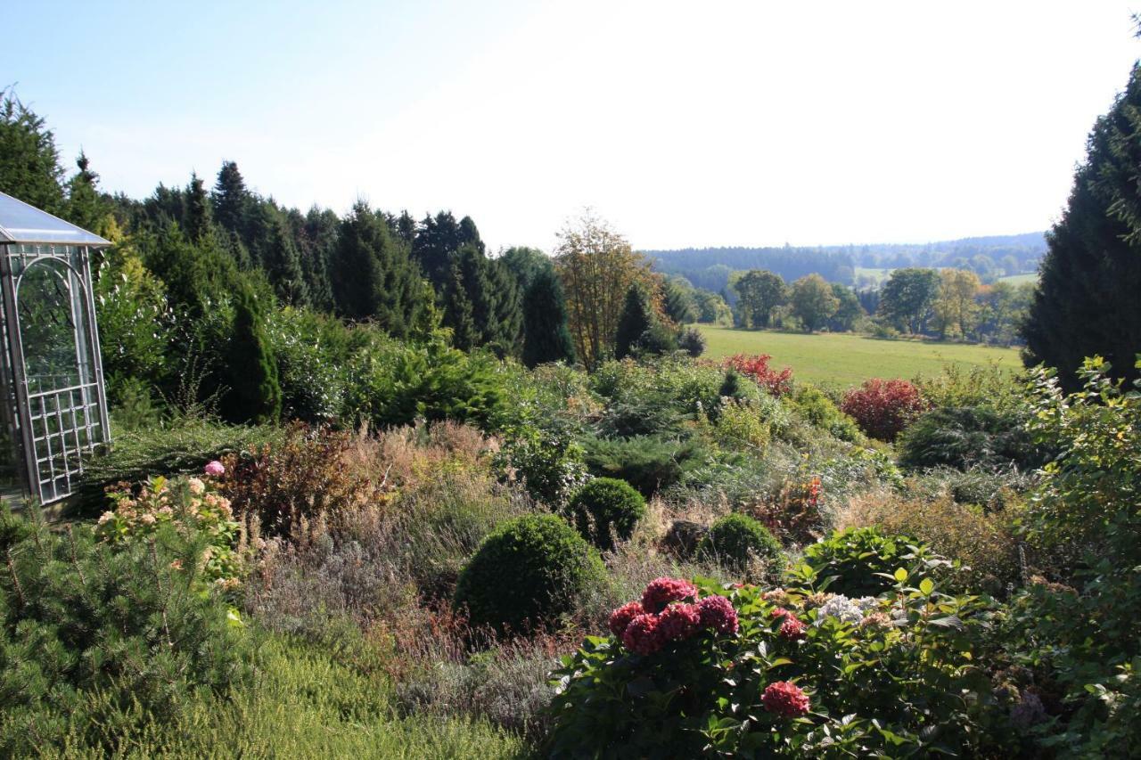 Sonne, Harz Und Sterne *