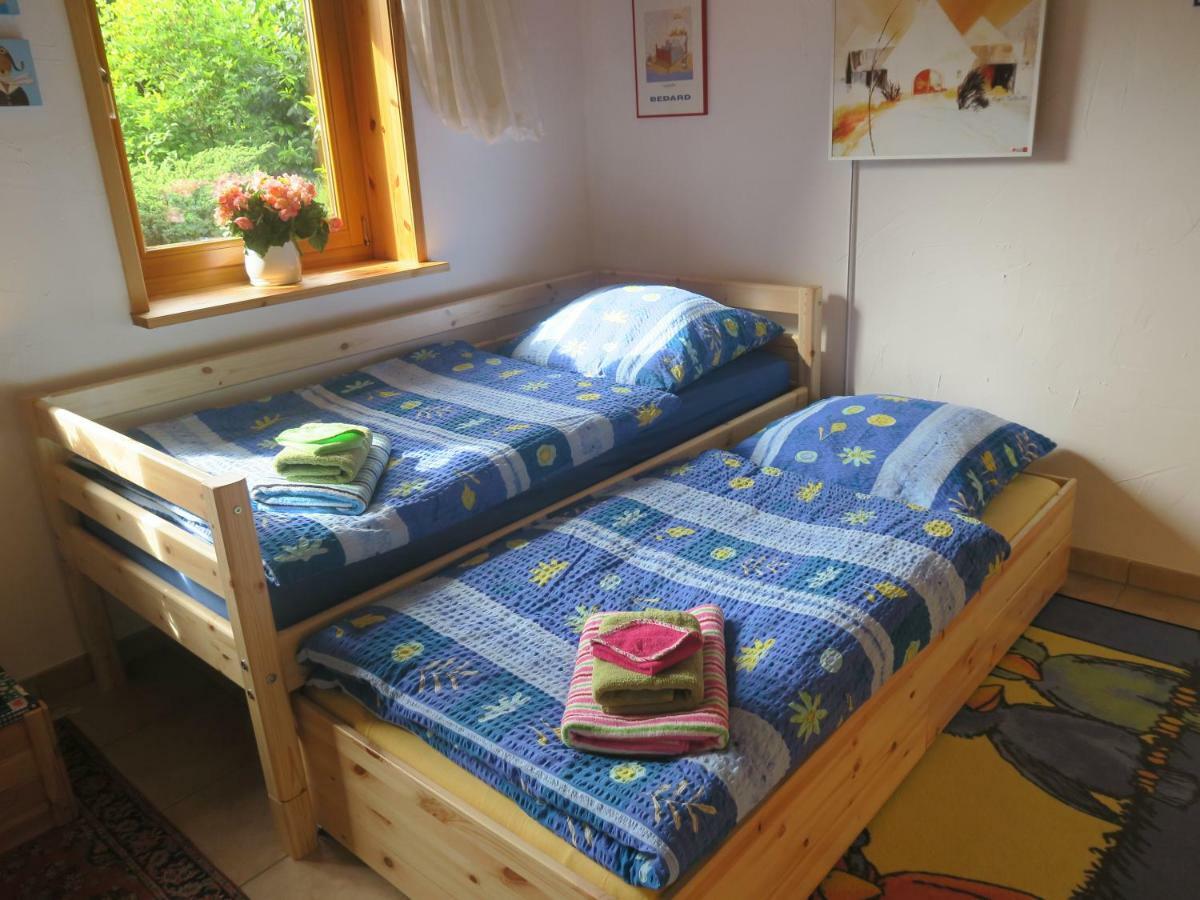 Sonne, Harz Und Sterne Hohegeiß