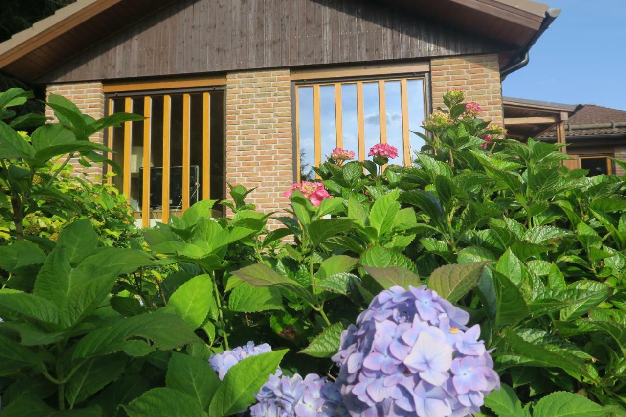 Ferienhaus Sonne, Harz Und Sterne Hohegeiß