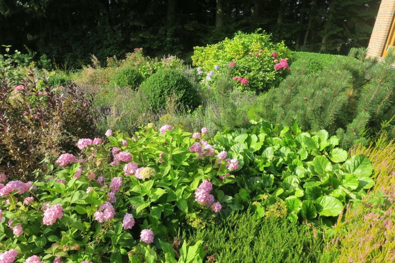 Sonne, Harz Und Sterne Ferienhaus
